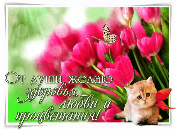 От души желаю здоровья и любви