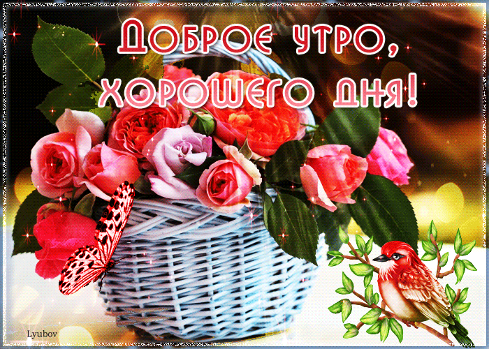 Доброе утро, хорошего дня