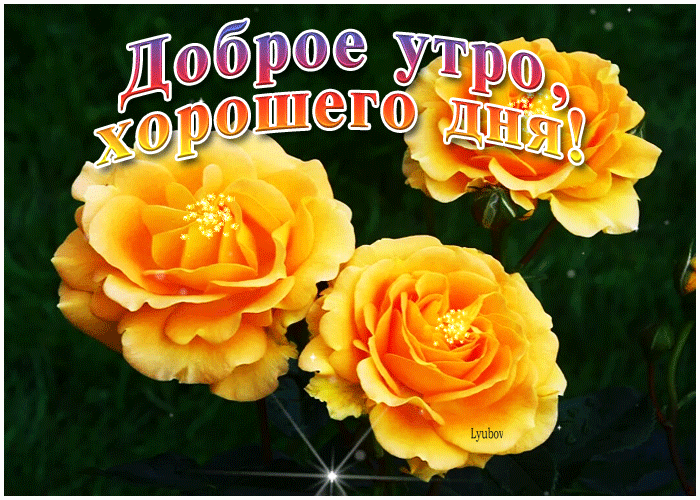 Доброе утро, хорошего дня