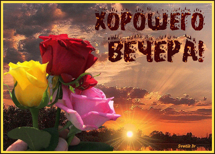 Хорошего вечера желаю