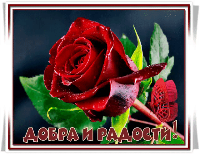 Добра и радости открытка