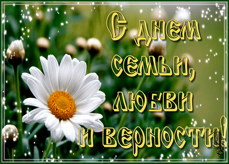 Прикольная открытка День семьи, любви и верности
