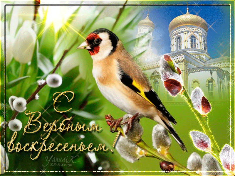 Чудесная картинка с Вербным Воскресеньем