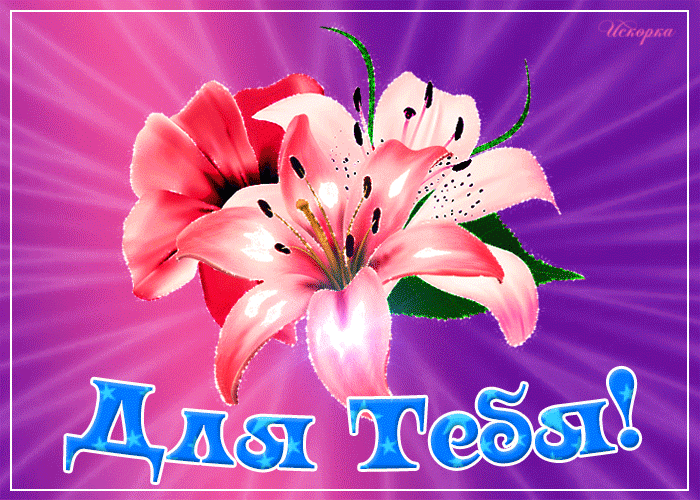 Для тебя красивый цветок