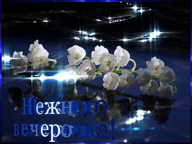 Нежного вечерочка