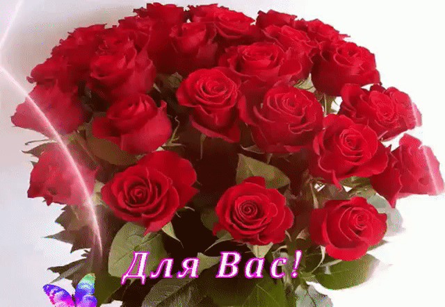 Для тебя букет красных роз