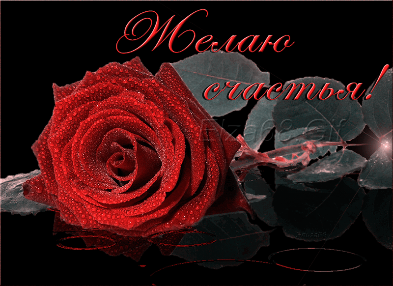 Открытка желаю счастья