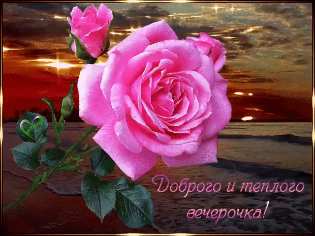 Доброго и теплого вечера
