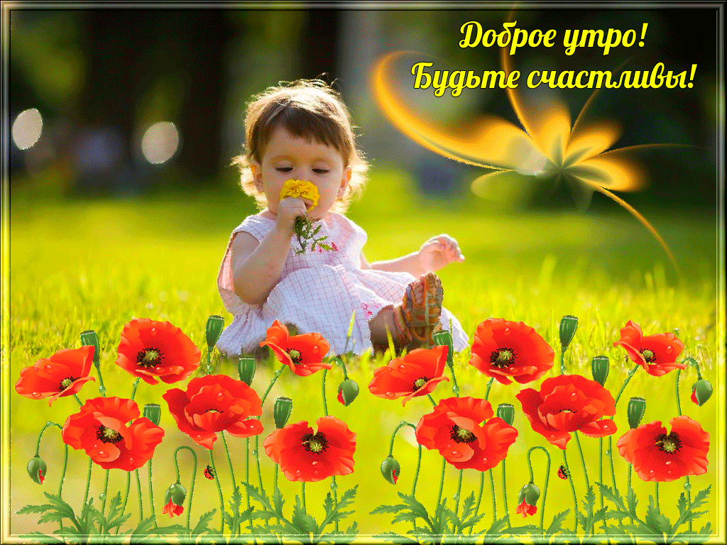 Доброе утро, друзья