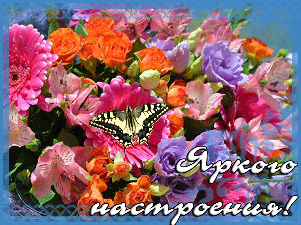 Открытка желаю яркого настроения