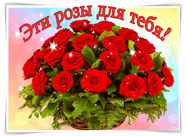 Эта корзина роз для тебя