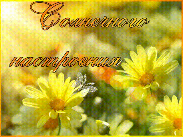 Картинка желаю солнечного настроения