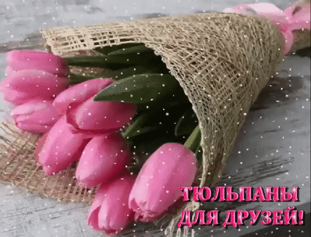 Тюльпаны для друзей открытка