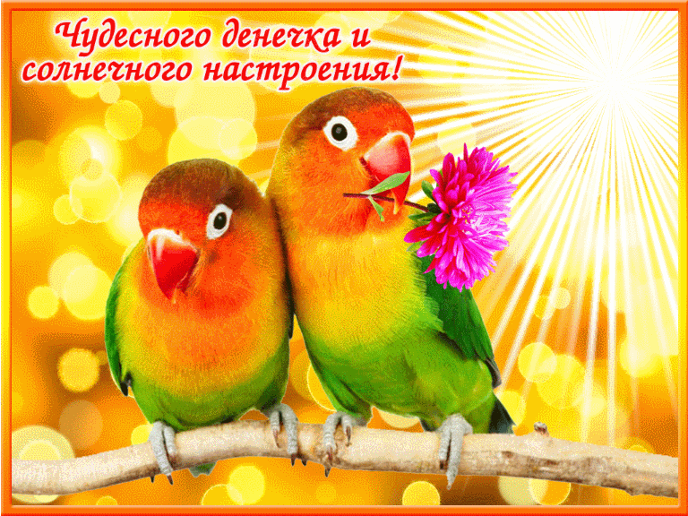 Солнечного утра