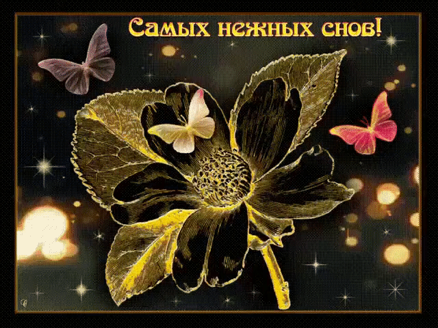 Самых нежных снов