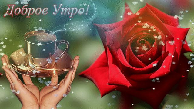 Доброе утро - это роза для тебя