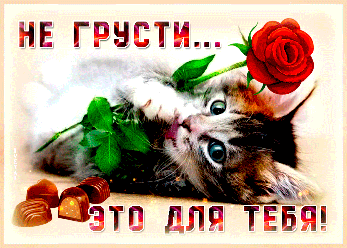 Не грусти, это для тебя