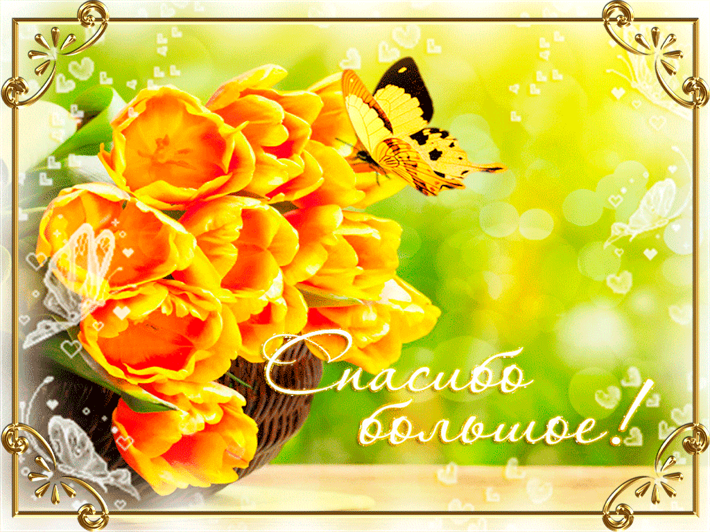 Спасибо большое