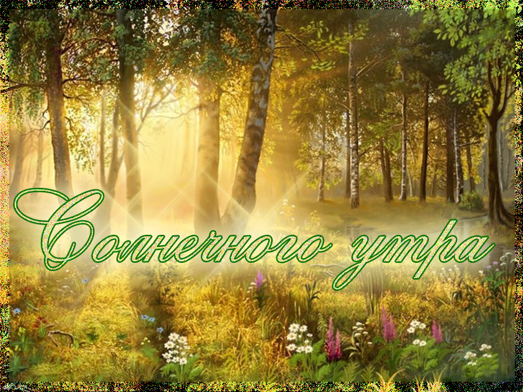 Солнечного утра