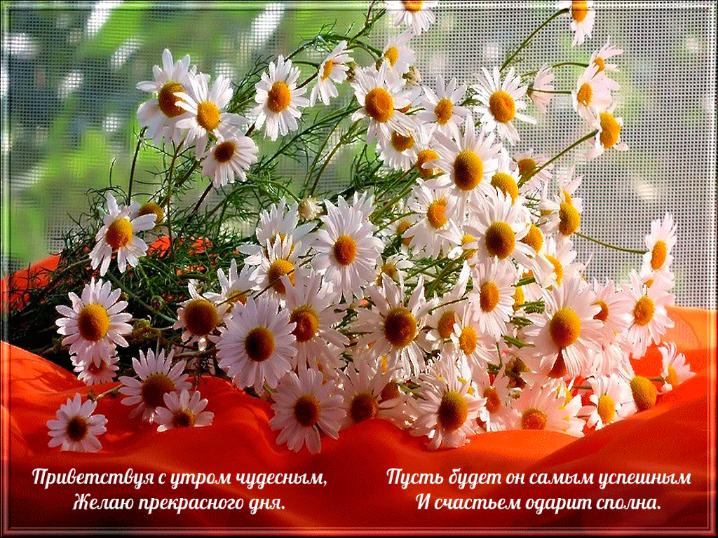 Приветствую с утром чудесным