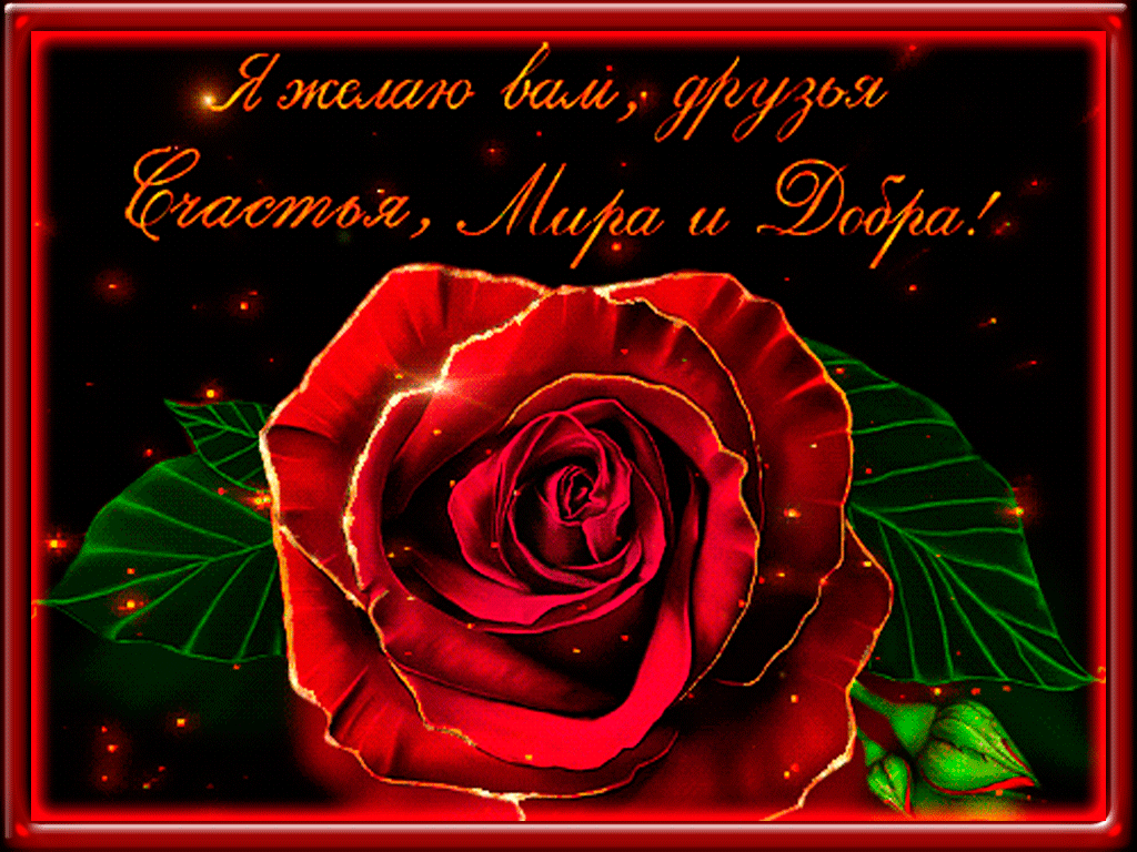 Я желаю вам друзья - счастья мира и добра