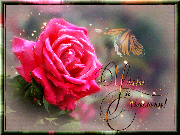 Удачи и счастья вам