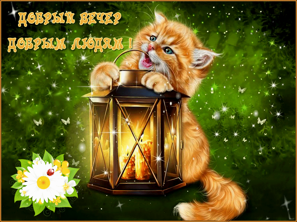 Добрым вечер - добрым людям