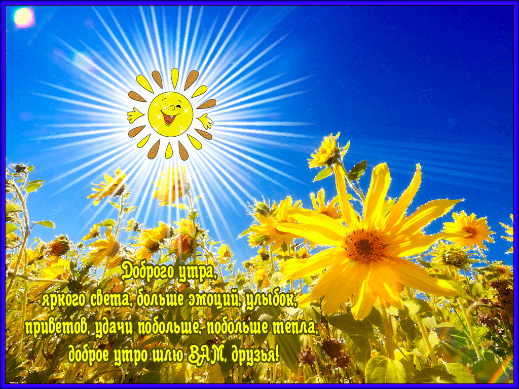 Доброе утро шлю ВАМ, друзья