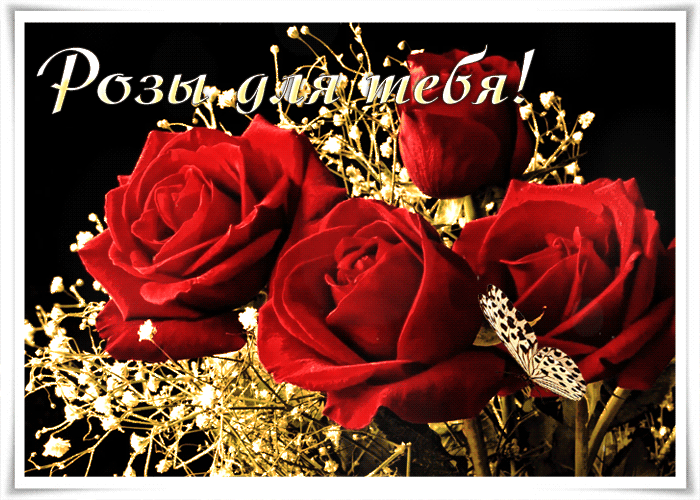 Красивые розы для подруги
