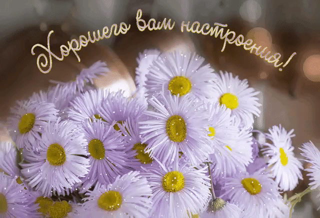 Хорошего вам настроения - ромашки для тебя