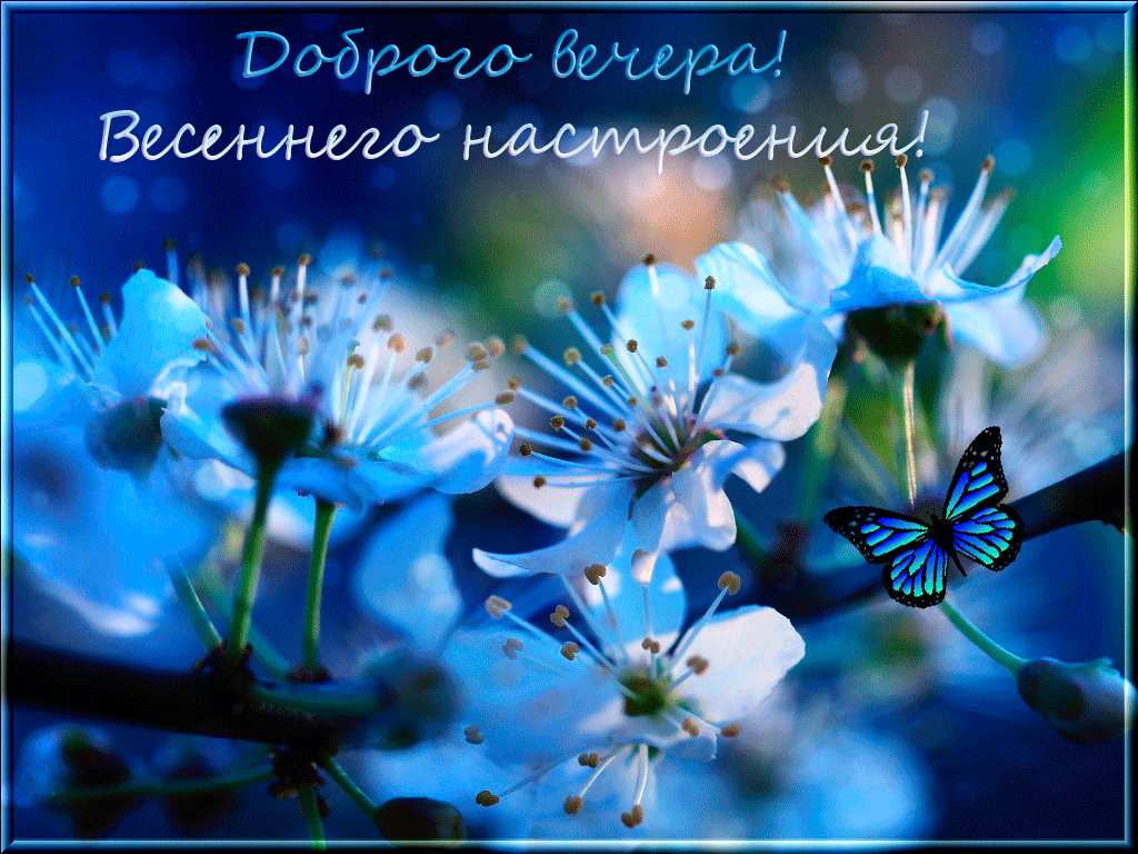 Открытка доброго вечера