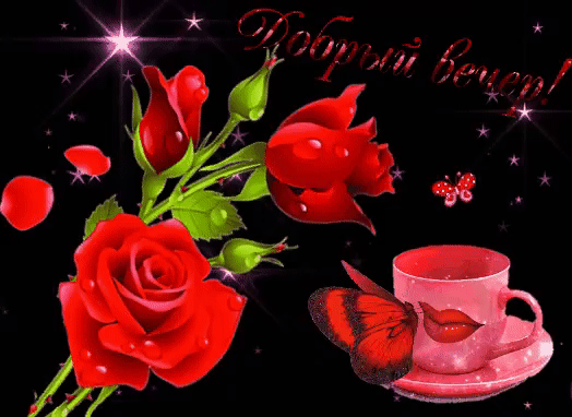 Пусть этот вечер подарит тебе счастья