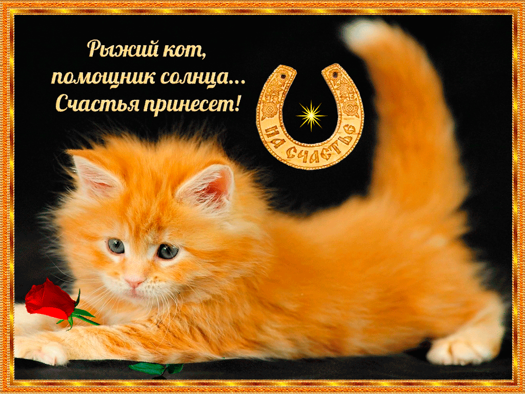 С днём счастья милые друзья