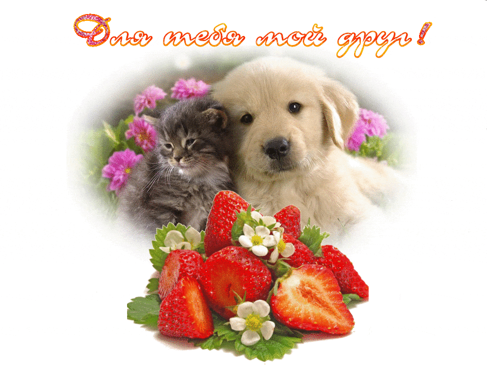 Открытка для тебя, мой друг