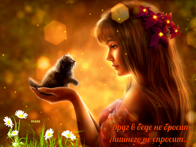 Друг в беде не бросит, лишнего не спросит