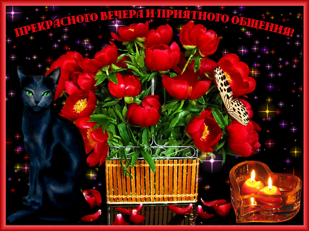 Прекрасного вечера и приятного общения